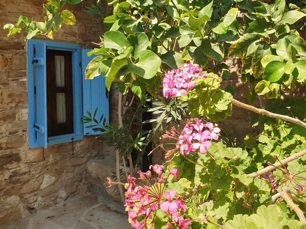 Vasilopoulos House Tochni Ngoại thất bức ảnh