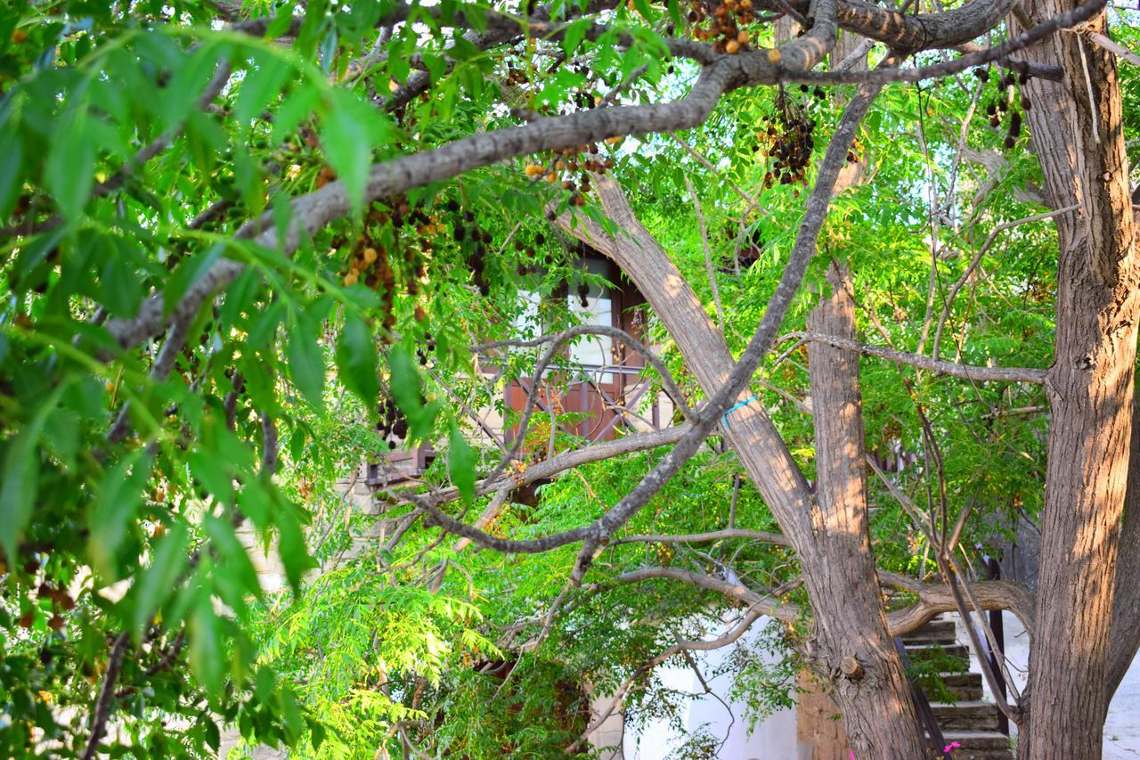 Vasilopoulos House Tochni Ngoại thất bức ảnh